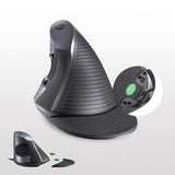 Delux M618 BU Ergonomic Vertical Mouse