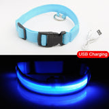 USB Charging Led Dog Collar Anti-Lost