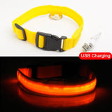 USB Charging Led Dog Collar Anti-Lost