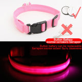 USB Charging Led Dog Collar Anti-Lost