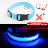 USB Charging Led Dog Collar Anti-Lost