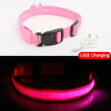 USB Charging Led Dog Collar Anti-Lost