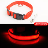 USB Charging Led Dog Collar Anti-Lost