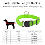 USB Charging Led Dog Collar Anti-Lost