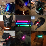 USB Charging Led Dog Collar Anti-Lost