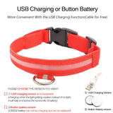 USB Charging Led Dog Collar Anti-Lost