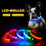 USB Charging Led Dog Collar Anti-Lost