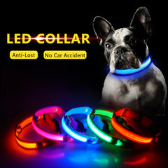 USB Charging Led Dog Collar Anti-Lost