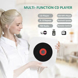 Wall Mounted Bluetooth USB Portable Music Player